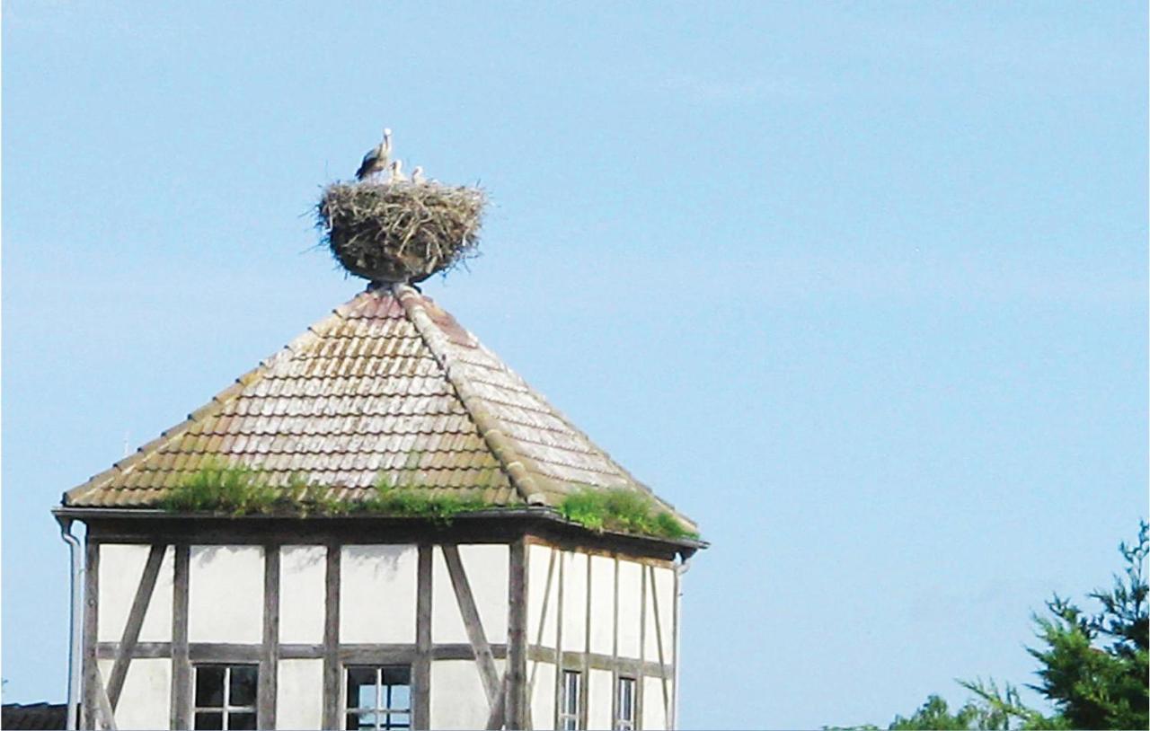 Herrenhaus Luebbenow Exteriér fotografie